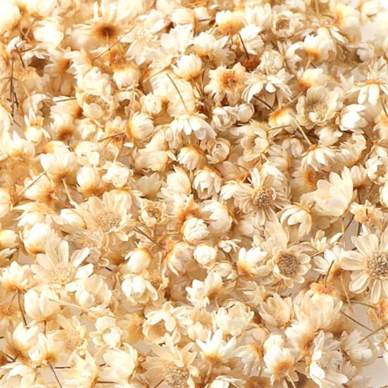 Привлекательный стабилизированный цветок, отличное качество изготовления, натуральный цветок ручной работы