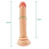 MoDi Dildo Realistic Penis Sex Toys for Woman Anal Massager Soft Dildo with Suction Cup