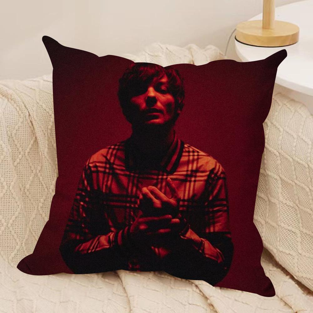 Louis Singer Tomlinsons Cushion Cover Silky Short Plush DoubleSided Printed Pillow Case for Sofa All Seasons Home Decor Gift