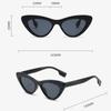 Vintage Fashion Small Frame Cat Eye Sunglasses Women Collage Colorful Retro Men Sun Glasses Hip Hop Sexy Eyeglasses EMA