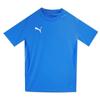 Puma Футболка ворот команды Asian FiT 65940302 T shirT