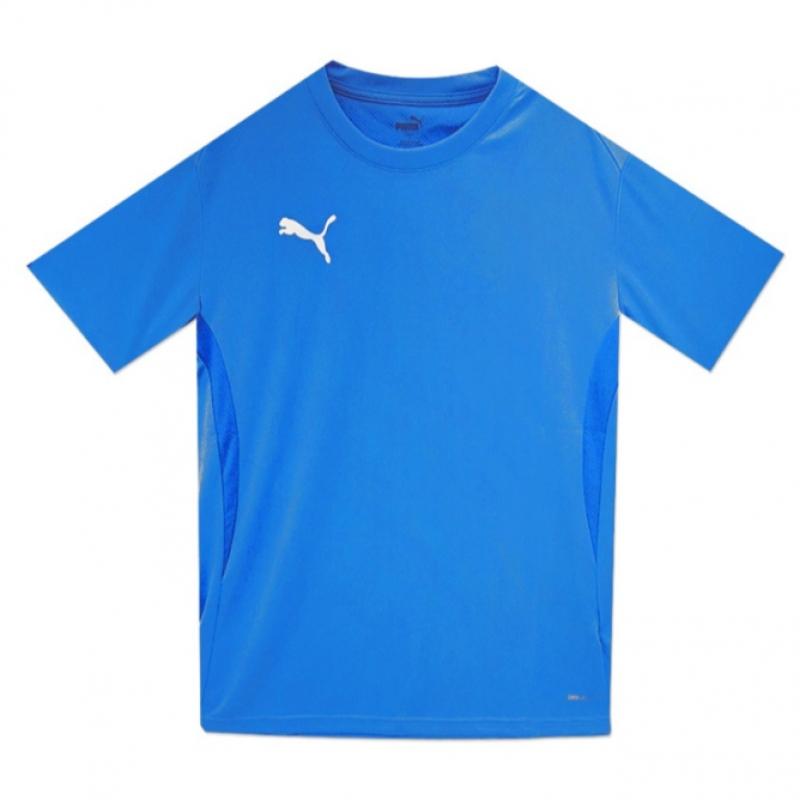 Puma Футболка ворот команды Asian FiT 65940302 T shirT