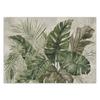 Wallpaper Tropical monstera leaves