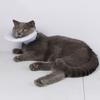 Double Sided Cat Protective Neck Cone Breathable Dog Elizabeth Circle  Help Wound Recovery