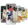 Funny Cat Dog Phone Case For Apple iPhone 13 12 Mini 11 Pro XS Max X XR 8 7 6S 6 Plus SE 2020 5S 5 Soft TPU Black Cover