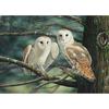 5D DIY Алмазная картина Сова Пара Вышивка Мозаика Вышивка крестом Горный хрусталь Украшение