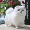 20cm Handmade Puppy Real Life Plush Toy Cute White Pomeranian Dog Animal Model Toys Home Decor Children Birthday Christmas Gift