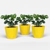 Гексагональный 6-дюймовый набор из 3 пластиковых цветочных горшков для домашнего декора, горшки для комнатных растений для гостиной, пластиковый цветочный горшок для сада (желтый)