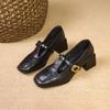 Mary Jane Shoes Women's Autumn New Brown Retro Small Leather Shoes Temperament Thick Heel One-word Buckle Single Shoes