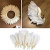 Wedding Jewelry Nature 6-8 Inches Party Accessories Various Feather Diy Decor Goose Feathers