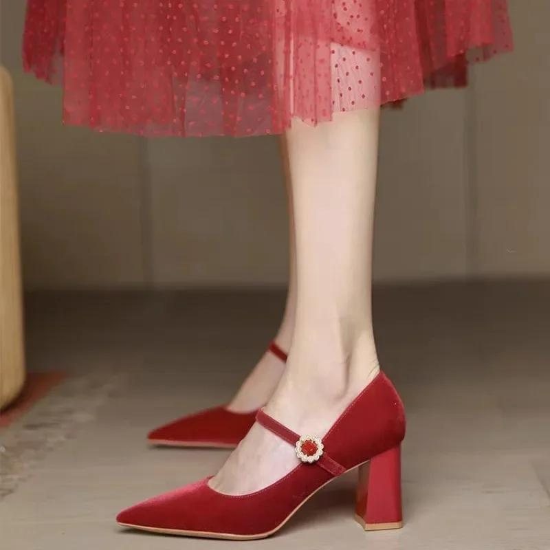 2025 Женская обувь Мэри Джейн Женские туфли на высоком каблуке Модные туфли-лодочки Женские туфли с острым носком и пряжкой на ремешке на толстом каблуке Женские