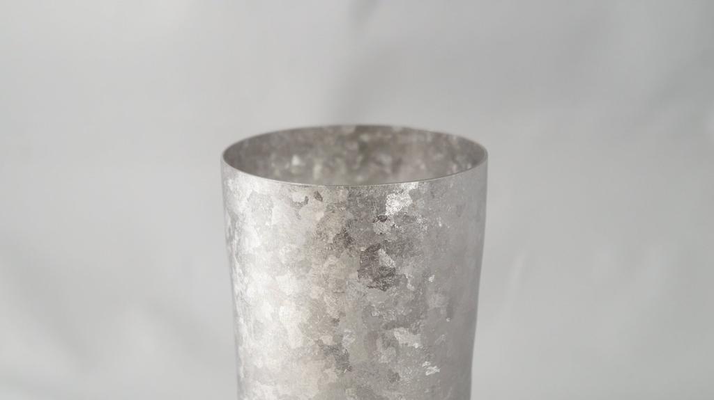 HORIE Made In Niigata Prefecture Titanium Double Tumbler Kiln Making LIGHT 270cc Silver T09KMS270 Tsubame,