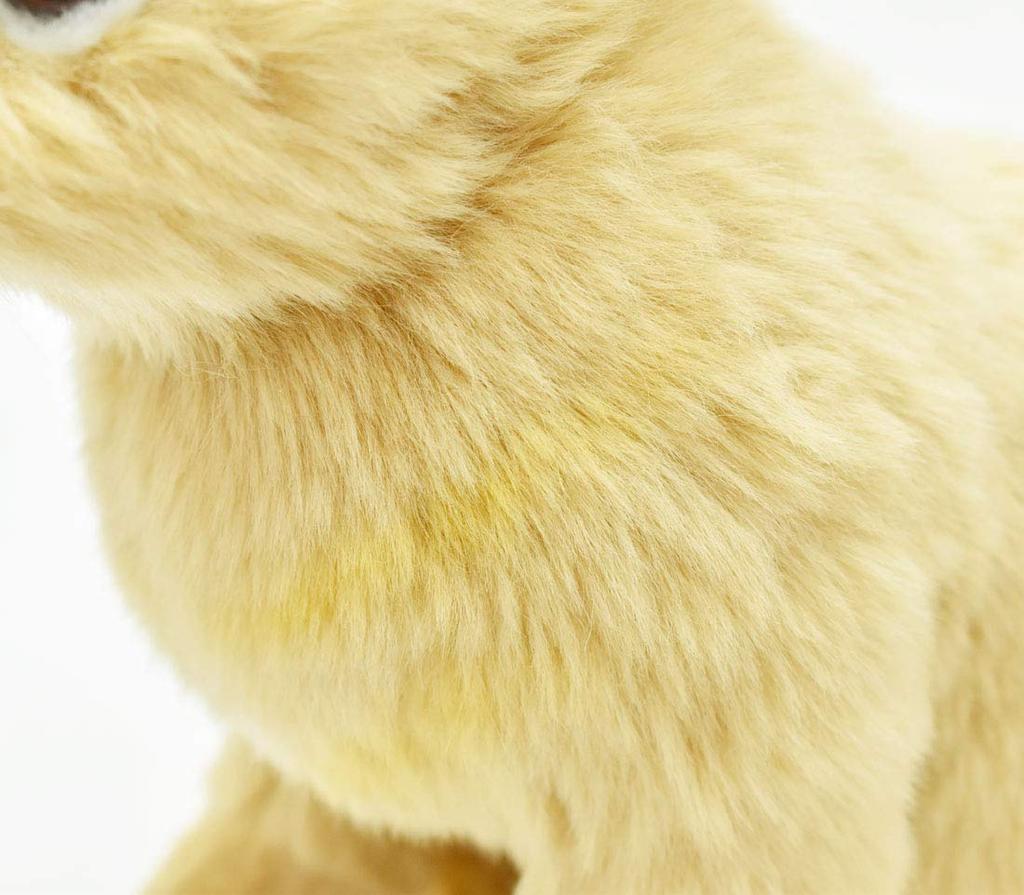 BH7022 HANSA Netherland Dwarf 21