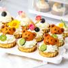 Rectangle Cupcake Carrier Transparent Cupcake Containers Bakery Tool Cupcake Storage Box  Picnic