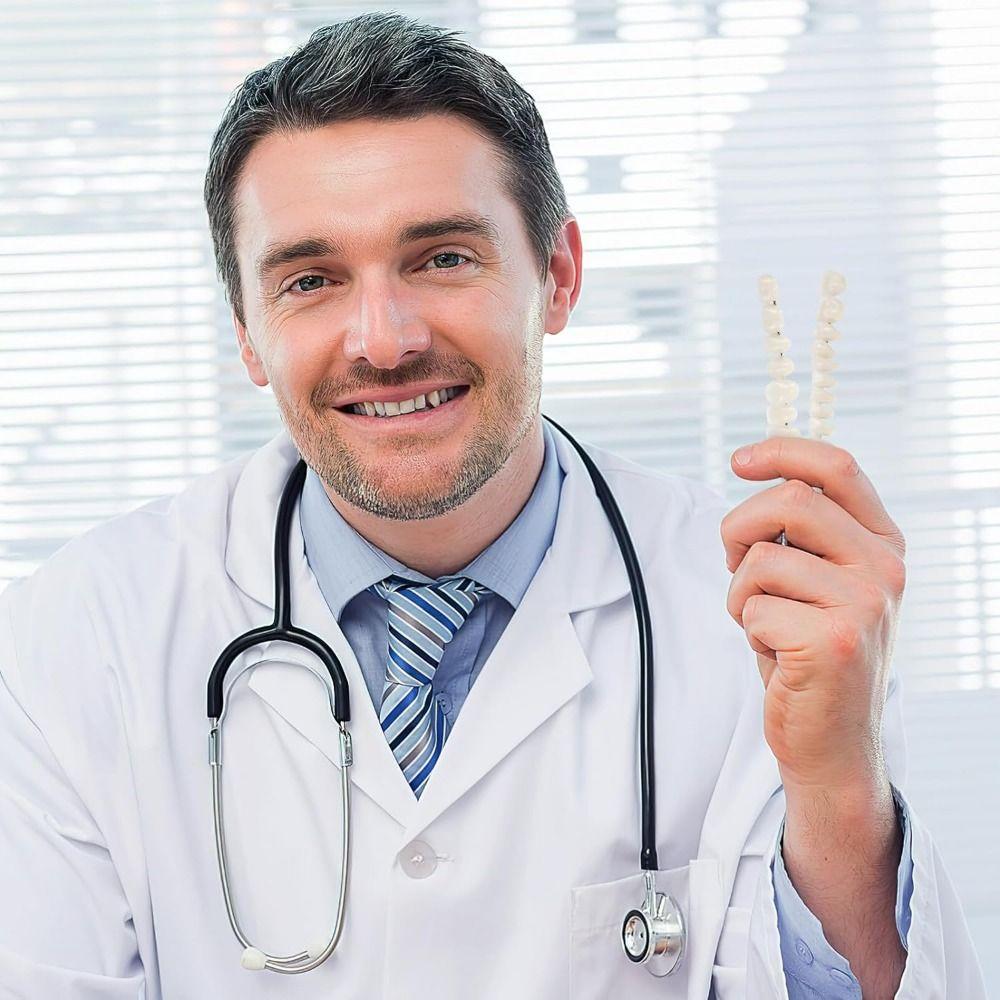 28 Pcs Resin Denture False Teeth Make Your Own Dental Training Models Dental Supply Accessory