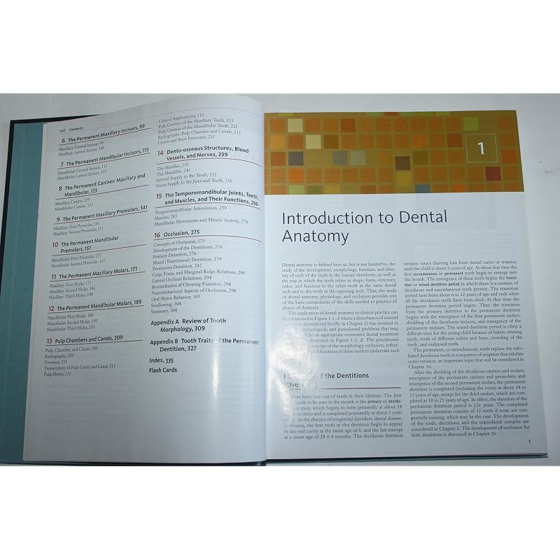 Wheeler's Dental Anatomy, Physiology and Occlusion: Expert Consult