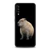 Cute Cartoon Capybara Phone Case For Samsung Galaxy A52 A14 A50 A70 A30 A40 A20S A20E A02S A12 A22 A34 A42 A32 5G A54 A04s Cover
