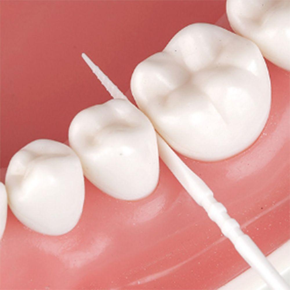 300/60 Pcs Plastic Double-ended Toothpick Disposable Dental Floss Household