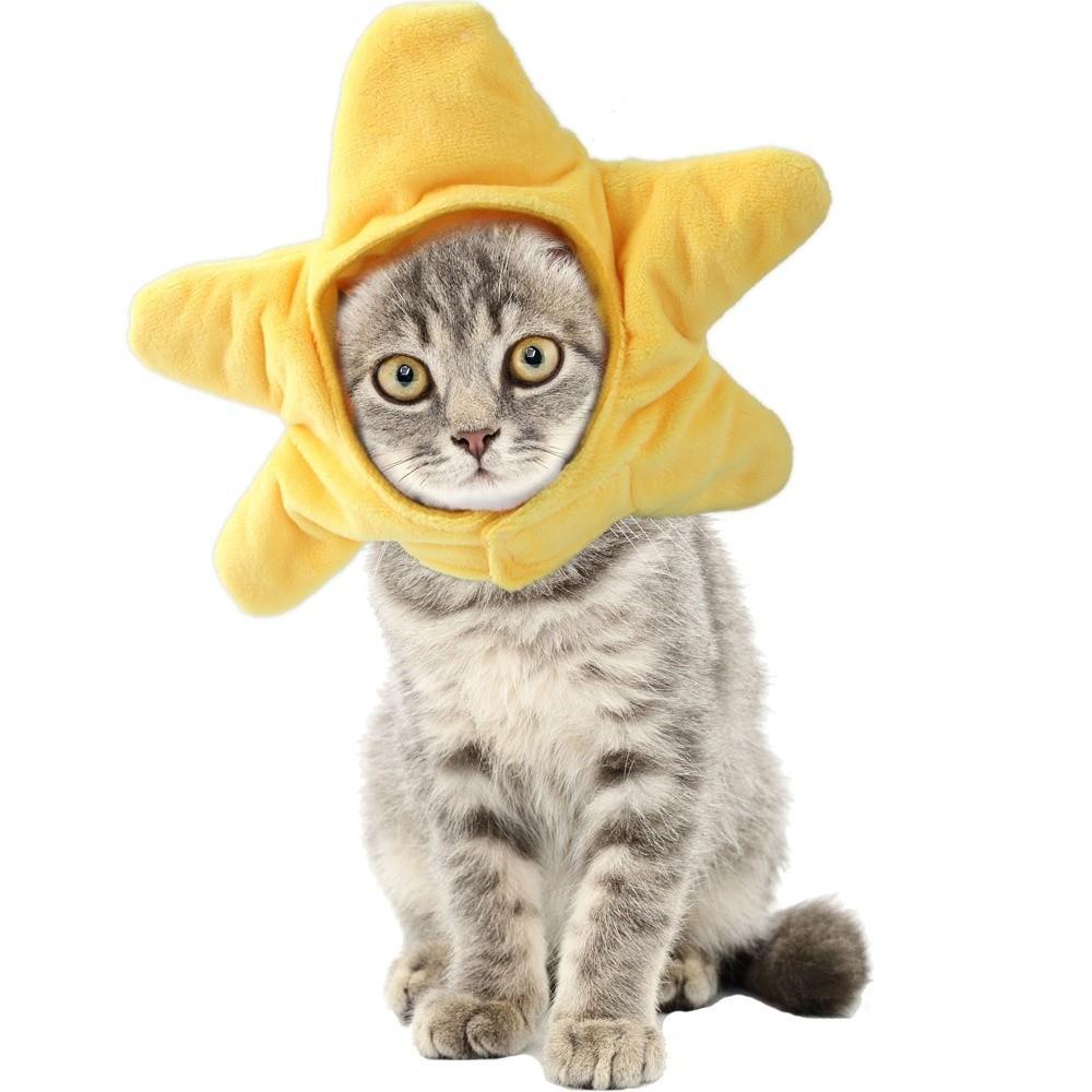 Soft Pet Hat Cute Dog Hat Pet Decorative Hat Cat Hat  Photo Taking