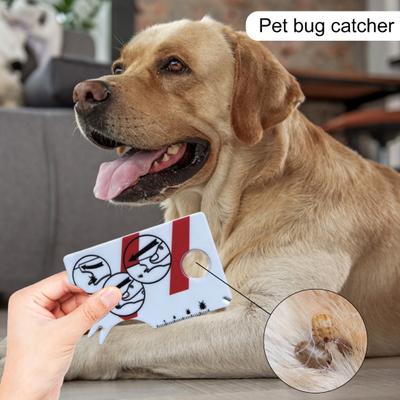 Catcher Простой в использовании прочный эффективный инструмент для удаления клещей с лупой Clear Scale Tick