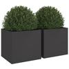 VidaXL Jardinières 2 pcs, Bacs à Fleurs, Pots de Plantes, Boîtes à Fleurs, Jardinières Surélevées de Jardin Terrasse, Noir 841560