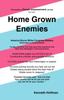 Книга Home Grown Enemies : America Burns While Congress Bickers