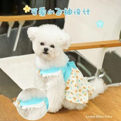 Одежда и обувь – Платья для собак