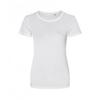Womens/Ladies Organic Cascades T-Shirt