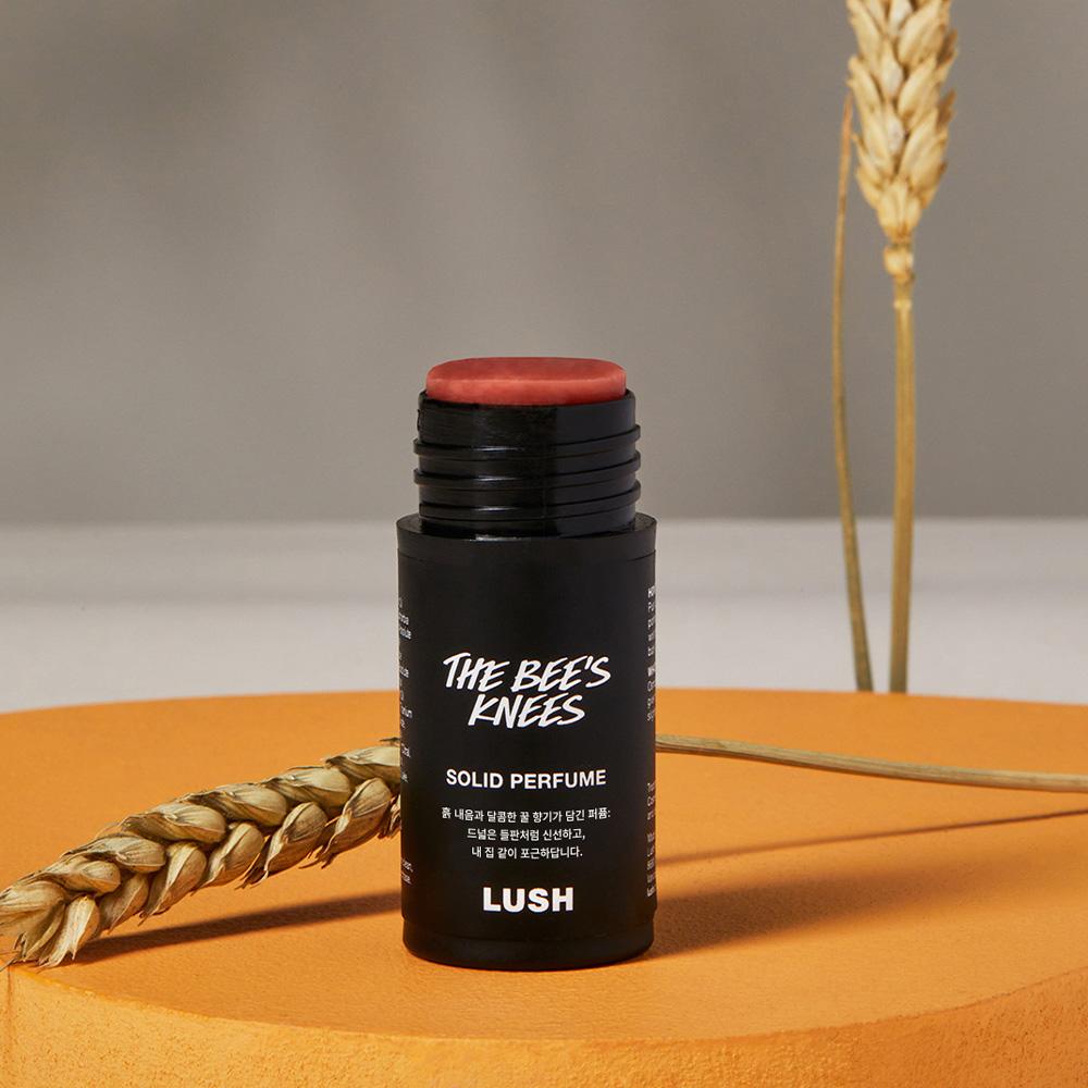 [Lush] The Bug's Needs Solid 11g