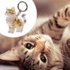 Cat Hair Storage Souvenir Keychain Bag Hanging Decoration Gift Cute Cat Hair Creative Transparent Hanging Ornament New