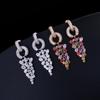 WWJ Long Dangling Drop Cluster Multicolor Zircon Women Earrings