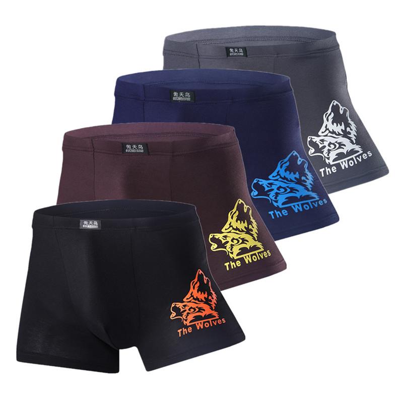 4 Pcs Men's Underwear Printed Boxer Shorts Youth Breathable Modal Underpants