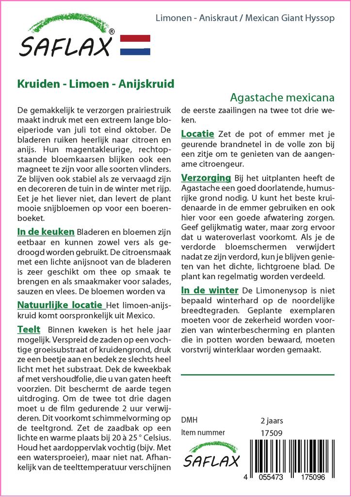 SAFLAX Garden in the Bag - Иссоп мексиканский гигантский - 50 семян - С субстратом в подходящем стоячем пакете - Agastache mexicana