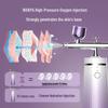 MKS Portable Nano Oxygen Facial Sprayer