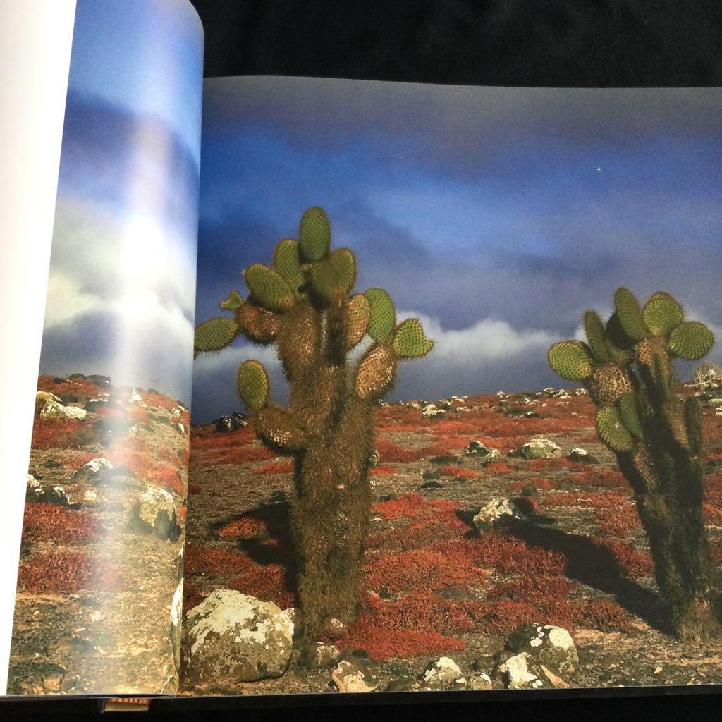 [Б/У] Фотоколлекция Галапагосских островов Природа Южная Америка Животные Иностранные книги Английский Эквадор Океан Вулкан Книга