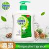 Dettol Moisturizing & Classic Pine Hand Wash Set