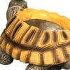 Turtle Flower Pot Plant Container Desk Decorations Small Planter For Flowers Succulents Cactus Indoor Home Office Bedroom Living