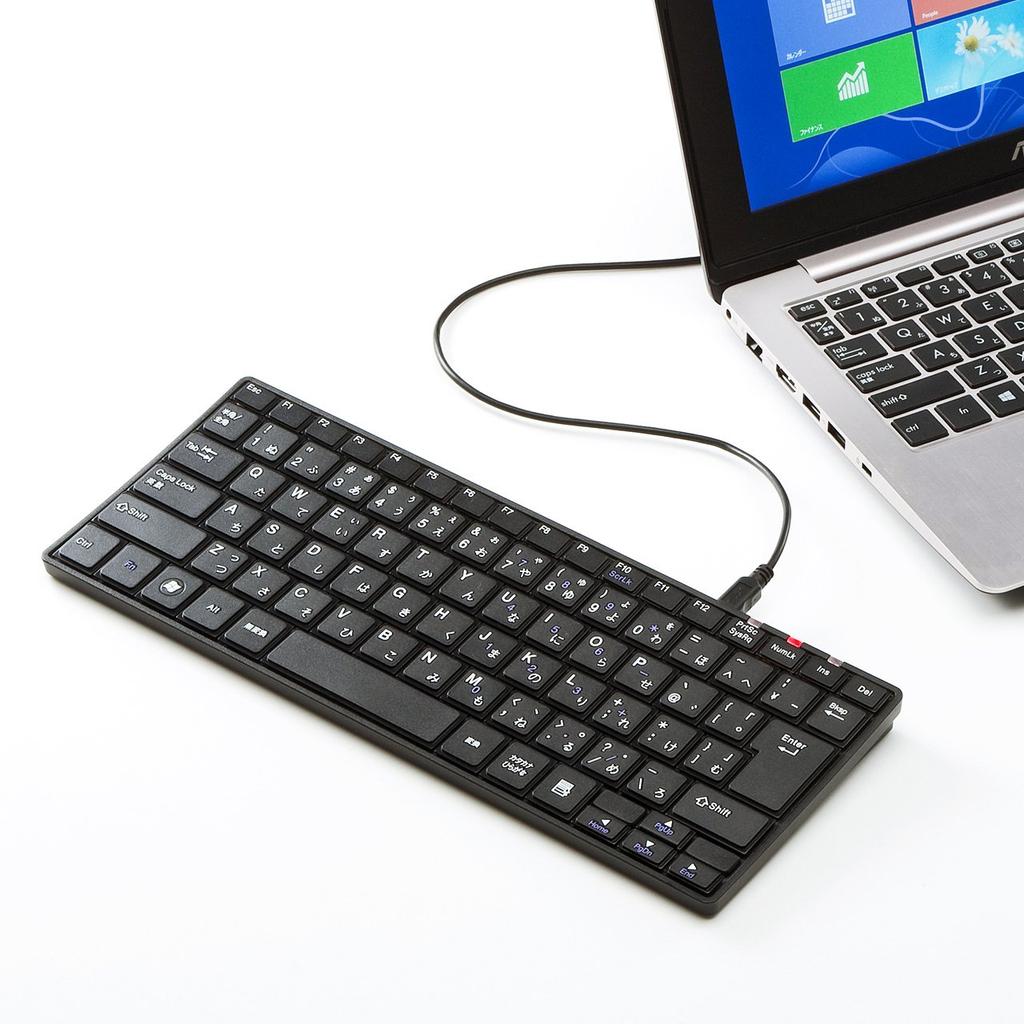 SANWA SUPPLY Wireless Slim Keyboard, Black, SKB-WL23BK