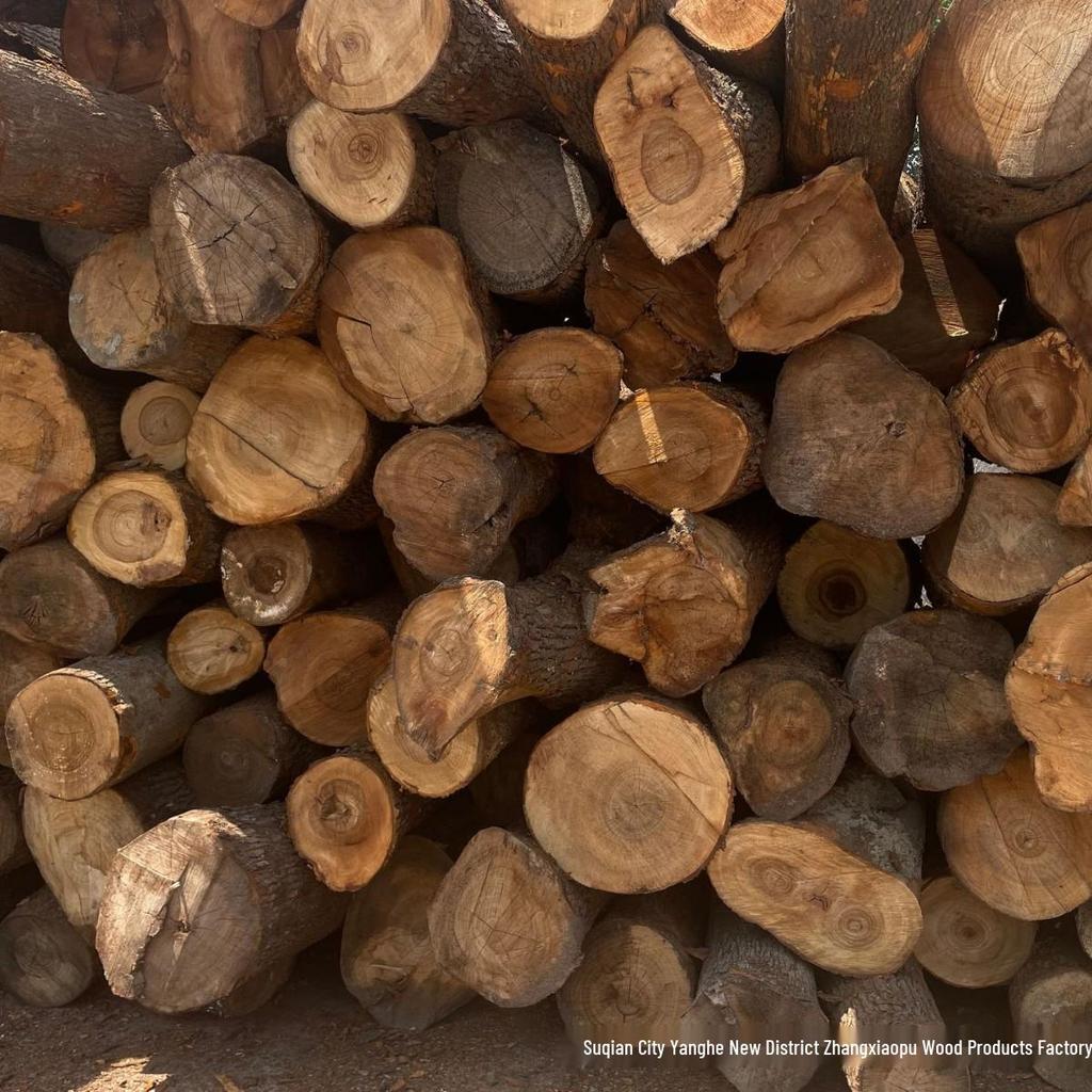 Камфорные деревянные бусины 2,5 см: Шкаф Анти-Плесень, Репеллент от Насекомых, Влагостойкий, Натуральная Альтернатива Нафталину