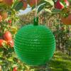 Мяч для ловли фруктовых мух 8 см, липкая ловушка для ловли фруктовых насекомых (зеленый) ?
