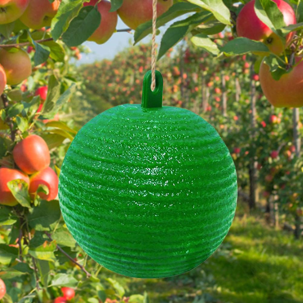 Мяч для ловли фруктовых мух 8 см, липкая ловушка для ловли фруктовых насекомых (зеленый) ?