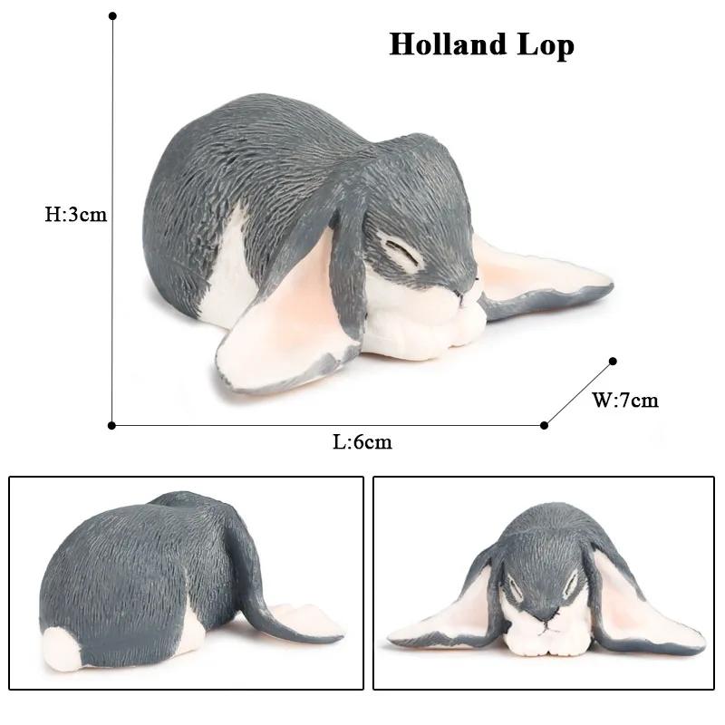 Oenux Lovely Farm Rabbit Bunny Model Action Figure Figurine Wild Desert Cottontail Hare Cute PVC Decoration Education Kid Toy