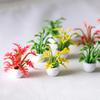 Mini Pot Accessories Small Plant Plant Pot High Dollhouse Simulation Decor
