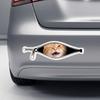 Creative Car Stickers Cat Pet Car Stickers New Car Decorative Sticker  Electric Car