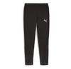 Puma Evostripe Dk Sweatpants
