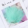 8-12Cm Colord Turkey Feathers  Natural Marabou Fly Tying Marabou Plumes For Craft Jewelry Making Decor