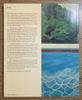 [USED] Pictures by DAVID HOCKNEY