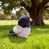 And Simulated Pigeon Sparrow Plush Toy Voice Design For Kids Birthday Present