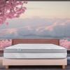 Mattress 180x200 cm,Prestigelux,26cm,memory Foam,firm,sleeping Independence,summer/winter Side