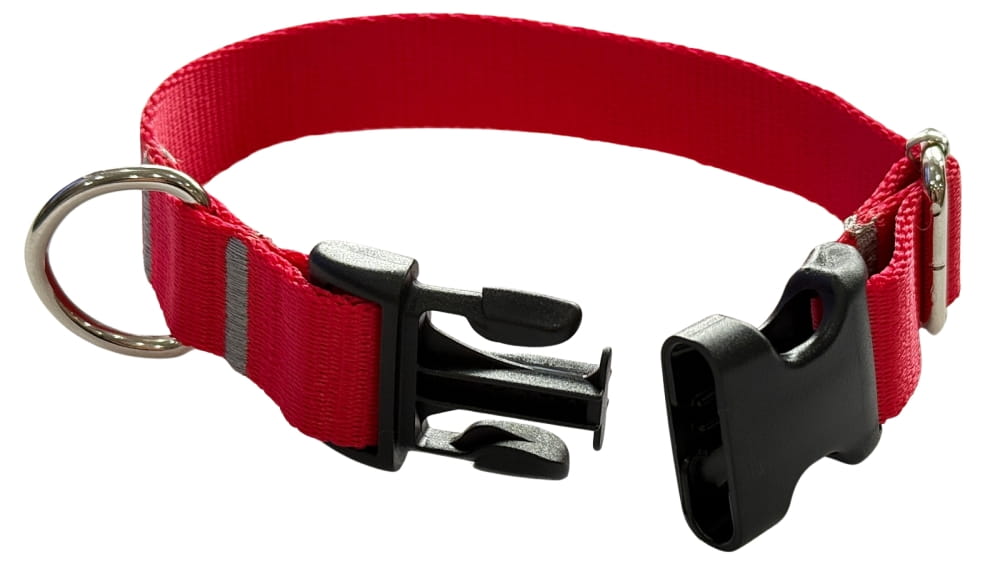 Dog Collar 2 cm with Buckle Adjustable Red Fasten Dog Collar 2 cm with Buckle Adjustable Red Fasten XL: 50-75cm